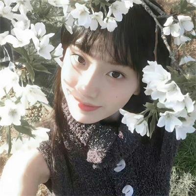 登陆新滩头